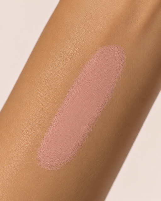 Blush and Brush Combo (Nude Pink)