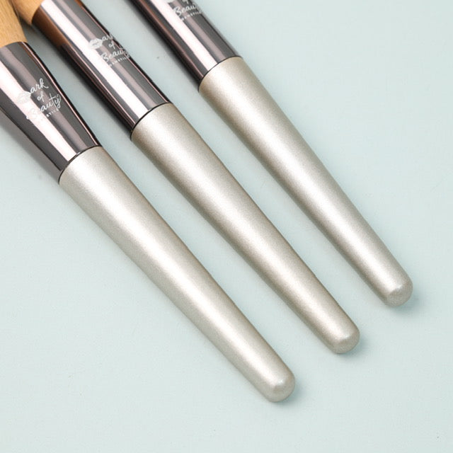 Makeup brushes (Metallic Silver)
