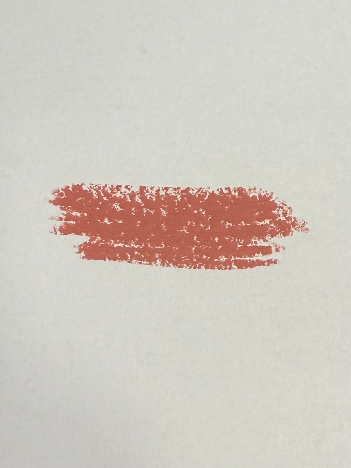 Blush and Brush Combo (Dark Salmon)